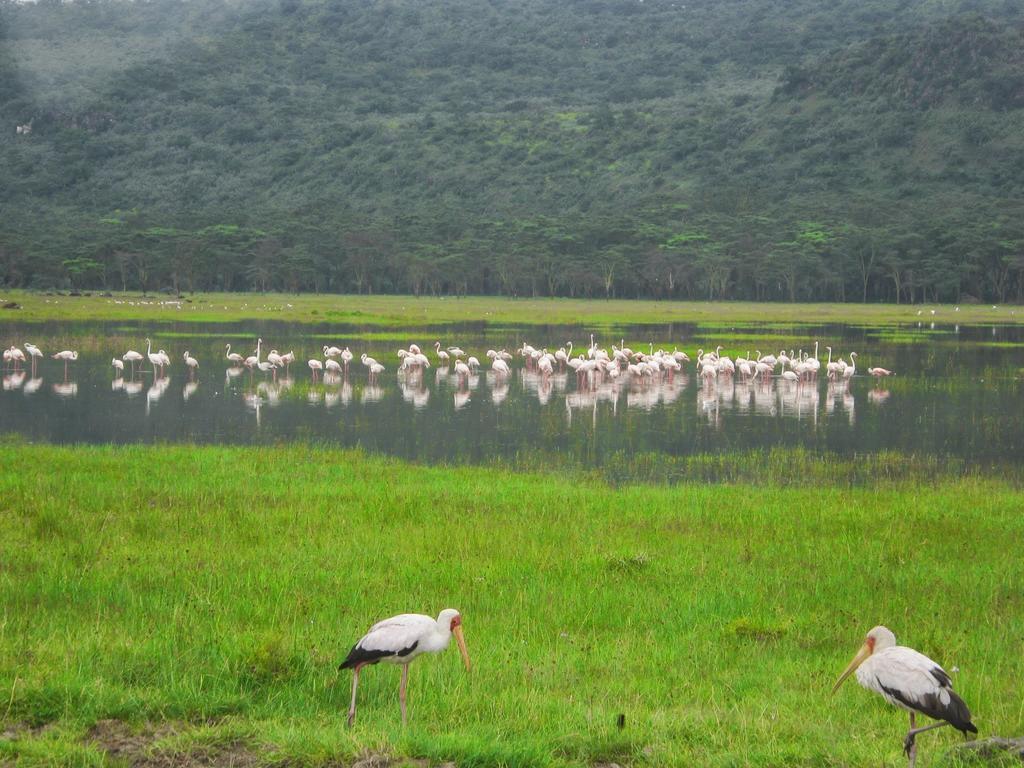 Lake Naivasha Resort Екстериор снимка